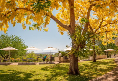 Ilala Lodge Hotel outdoor dining Palm Restaurant Victoria Falls Zimbabwe
