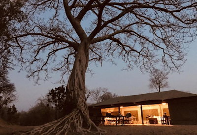 Ingwe Pan Camp remote wild tented camp pristine bushveld Mana Pools Zimbabwe