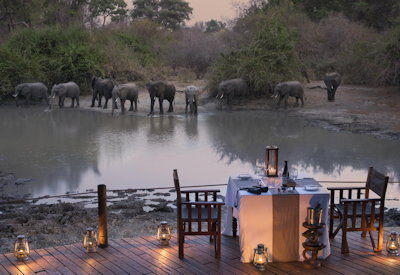 Kanga Pan wildlife leopard lion elephant wild dog Kanga Camp Mana Pools Zimbabwe