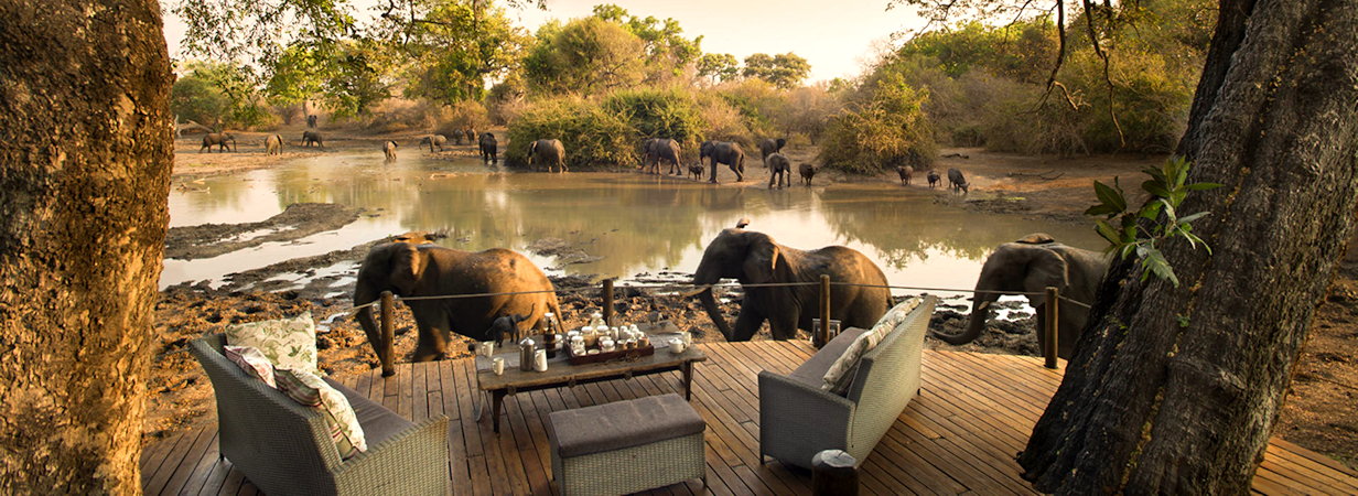 Kanga Camp