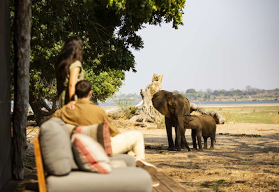 Little Ruckomechi Camp exceptional wildlife Zambezi River Mana Pools Zimbabwe