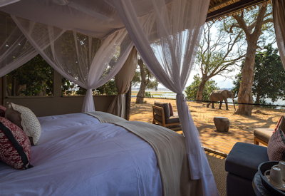 Elephant visiting tented suite Little Ruckomechi Camp Mana Pools Zimbabwe