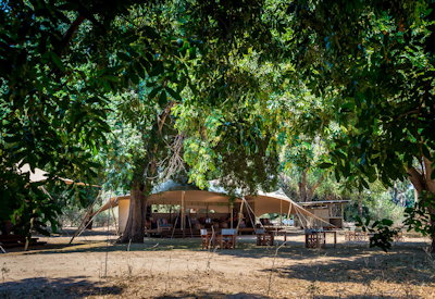 Little Ruckomechi Camp private concession Mana Pools UNESCO Zimbabwe Wilderness Safaris
