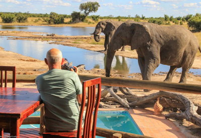 Nehimba Lodge elephant buffalo waterhole Mandavu Dam Hwange National Park Zimbabwe