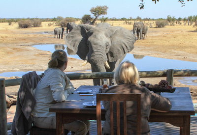 Nehimba Lodge outdoor dining elephants nearby Hwange National Park Zimbabwe
