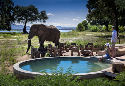 Nyamatusi Camp excellent wildlife Mana Pools UNESCO lion elephant wild dog Zimbabwe