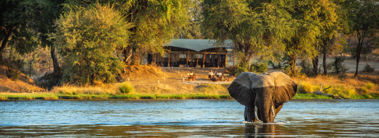 Sapi Explorers Camp