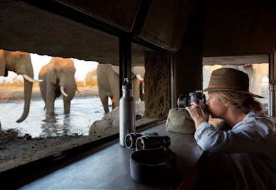 Big Five wildlife Malilangwe Wildlife Reserve Singita Malilangwe House Zimbabwe