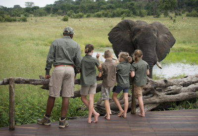 Somalisa Acacia Camp family inter-leading suites Ngwana Club Hwange Zimbabwe