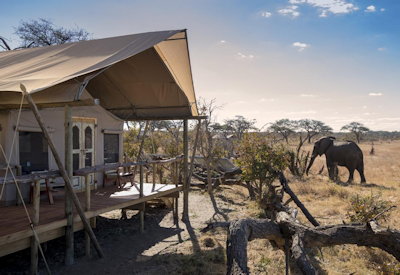 Somalisa Expeditions Camp excellent game viewing waterhole adjacent deck Hwange Zimbabwe