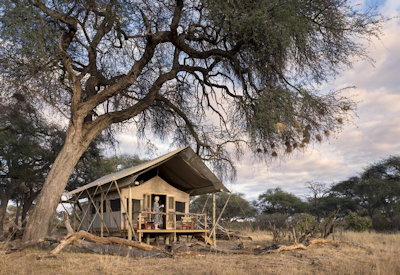 Somalisa Expeditions Camp private tented suite acacia grove Hwange Zimbabwe