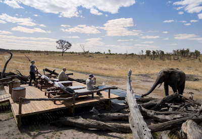 Game drive night drive walking safari sable roan elephant Somalisa Expeditions Hwange Zimbabwe