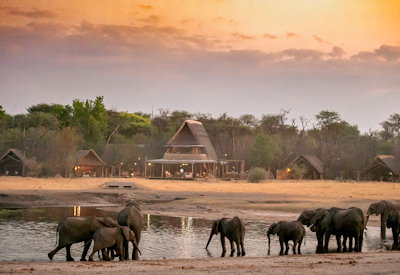 The Hide Hwange magnificent waterhole wildlife birdlife day night Zimbabwe