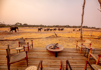 The Hide Hwange elephant photographic hide underground pan hides Hwange Zimbabwe