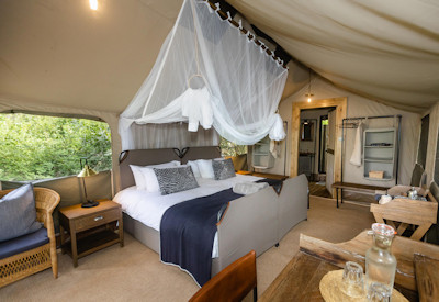 Tsowa Safari Island luxury tented suite Zambezi River views Zimbabwe