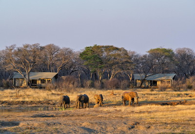 Verney's Pan wildlife views Hwange National Park teak forest Zimbabwe Mmachaba