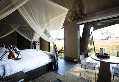 Linkwasha Camp 8 luxury tented suites permanent waterhole elephant sightings Hwange