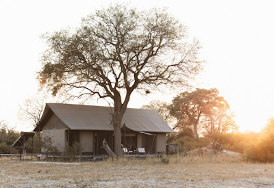 Linkwasha Camp authentically African atmosphere eco-friendly Hwange National Park Zimbabwe