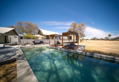Linkwasha Camp swimming pool summer game viewing Hwange National Park Zimbabwe