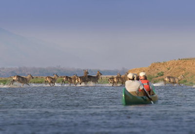 Zambezi River canoe safari tiger fish Zambezi Expeditions Camp Mana Pools Zimbabwe