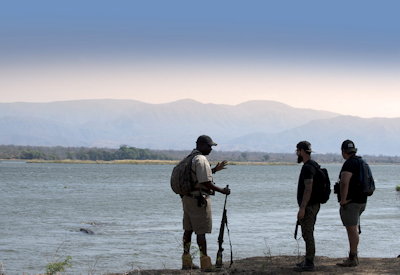 Walking safari game drive Mana Pools National Park UNESCO Zambezi Expeditions Zimbabwe