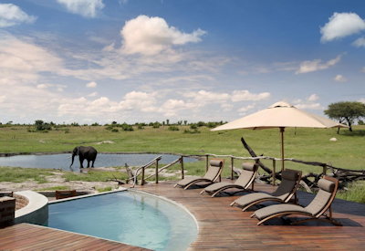 Hwange National Park game drive lion elephant Essential Zimbabwe Safari Zimbabwe