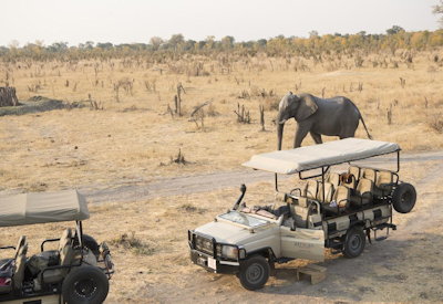 Open vehicle game drive Hwange National Park roan sable wild dog Essential Zimbabwe
