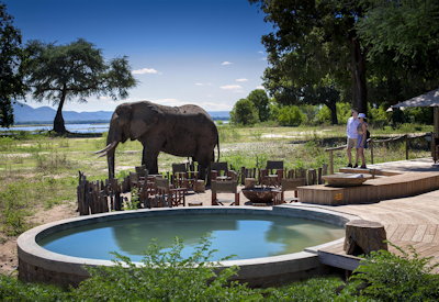 Zambezi River Valley wildlife Mana Pools National Park Essential Zimbabwe Safari
