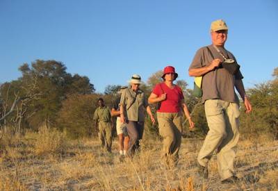 Hwange National Park game drive elephant predators Game Trail Camping Safari Zimbabwe