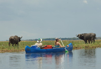 Canoeing Zambezi River Mana Island Trail Safari Mana Pools National Park Zimbabwe