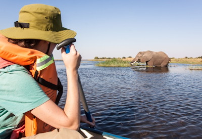 Mana Pools floodplain Zambezi River acacia trees Mana Island Trail Safari Zimbabwe