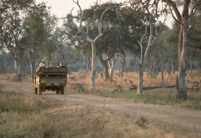 Budget accommodated chalets Zimbabwe Matobo Hwange Victoria Falls Game Trail Safari