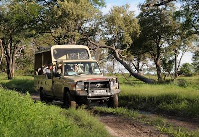 Chobe National Park game drive Botswana elephant herds Game Trail Camping Safari