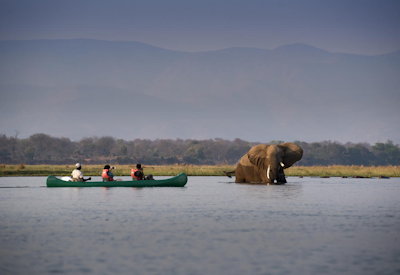 Mana Pools National Park walking safari canoe Zambezi River Zimbabwe Luxury Safari