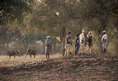Guided walking safari Mana Pools National Park UNESCO Zimbabwe Luxury Safari