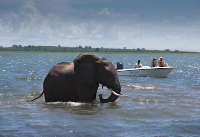 Lake Kariba luxury safari walking boat cruise tiger fish Bumi Hills Zimbabwe
